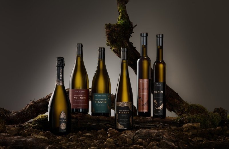 Dégustation de vins exclusive au Camping